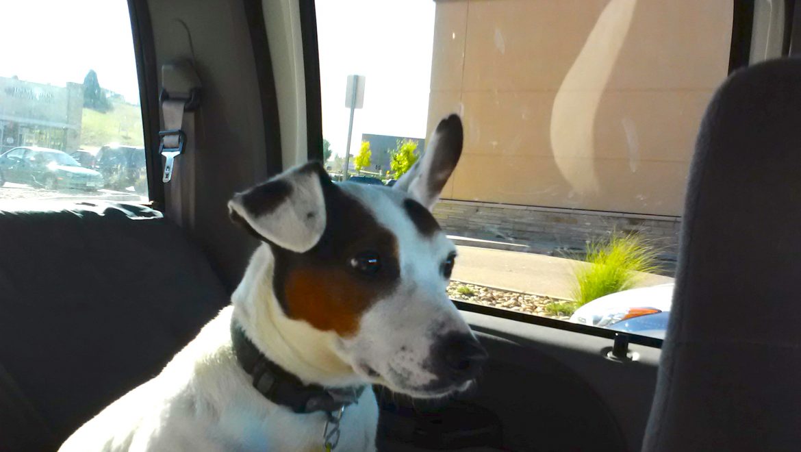 Smiley Has Something To Smile About